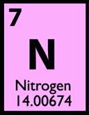Nitrogen Isotope Analysis